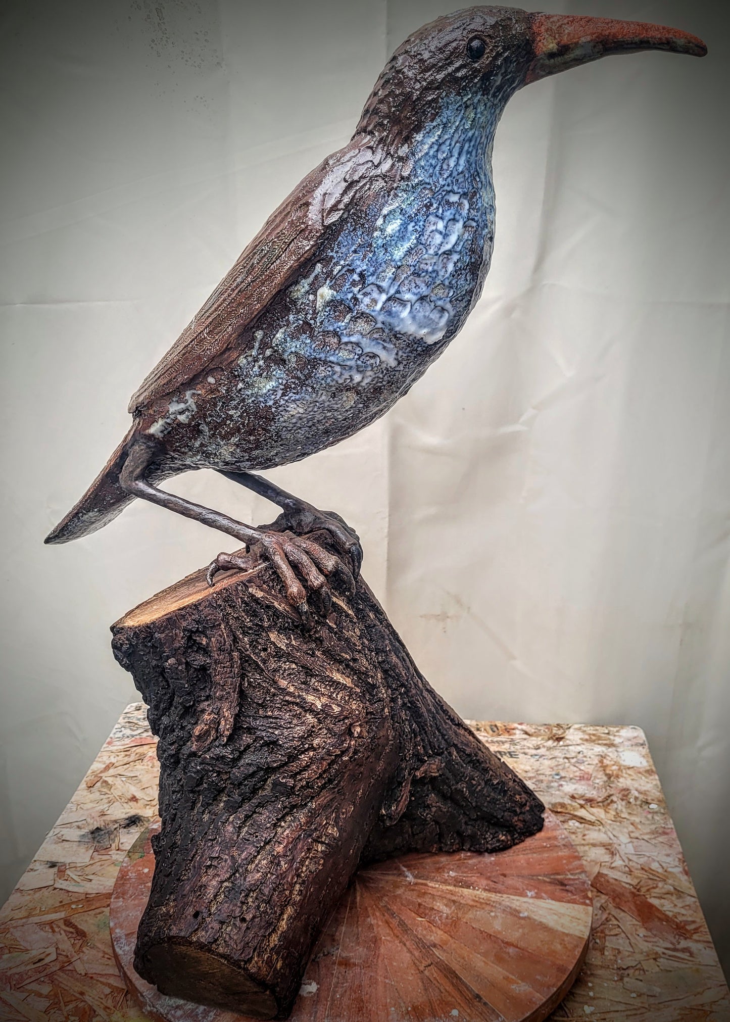 Large Bird on Walnut Stump