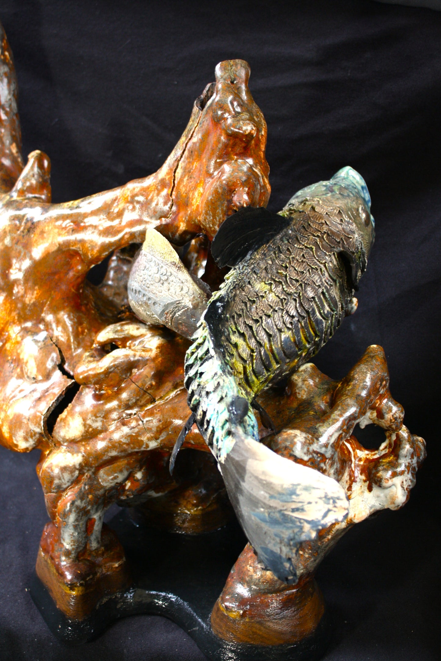 These are not fish, that is not reef