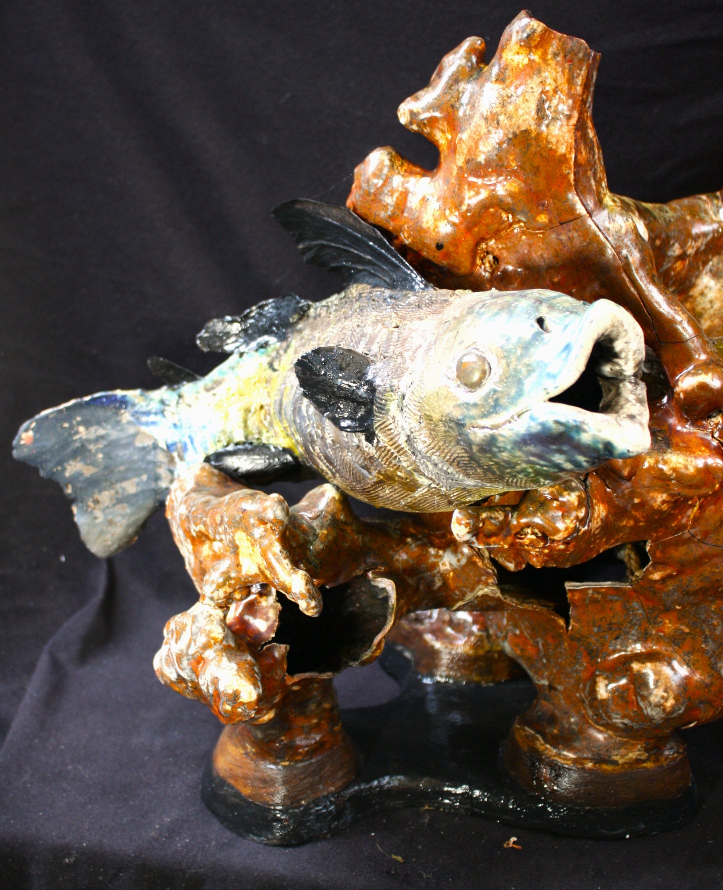 These are not fish, that is not reef