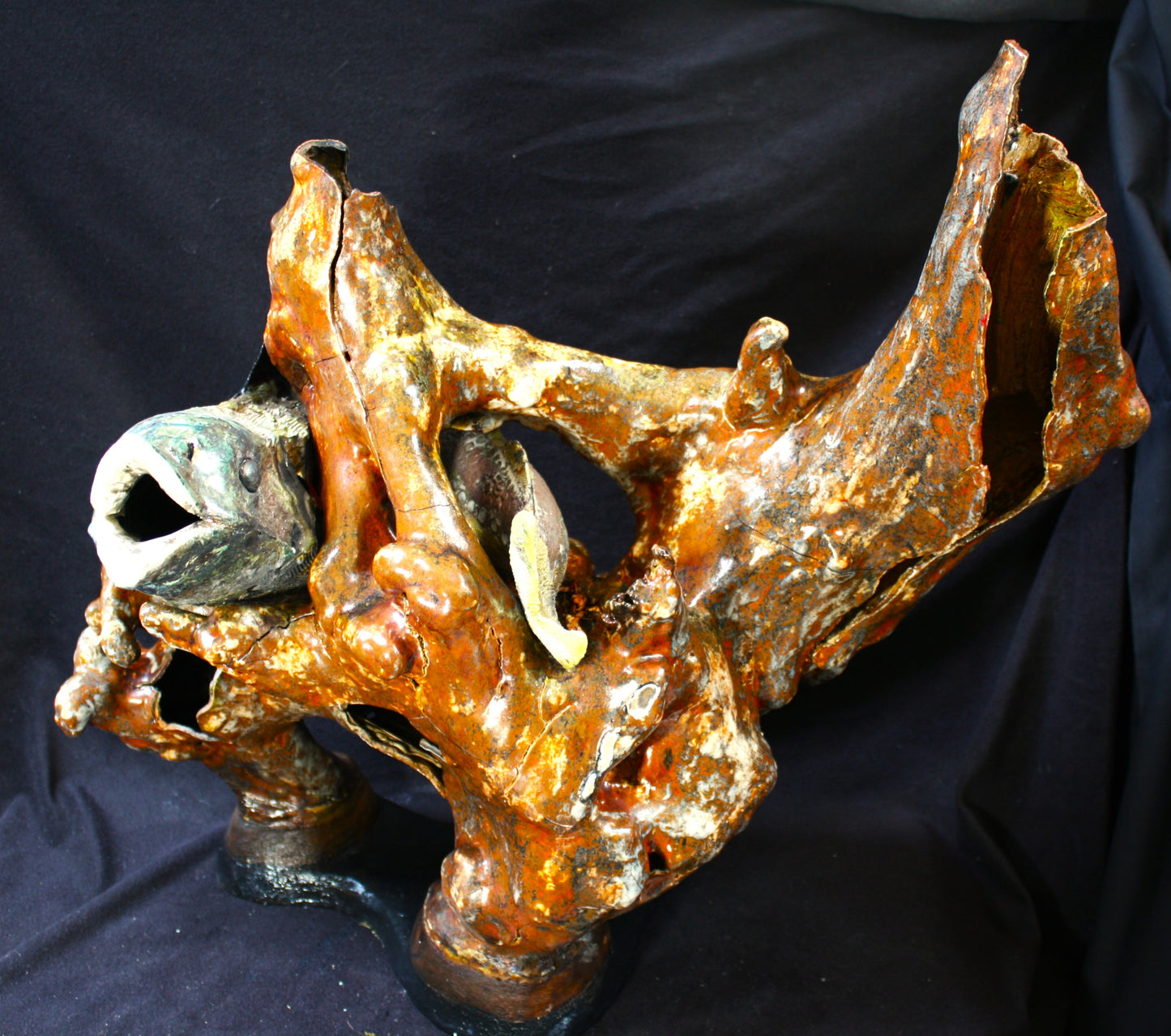 These are not fish, that is not reef