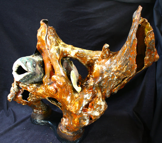 These are not fish, that is not reef