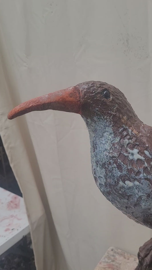 Large Bird on Walnut Stump